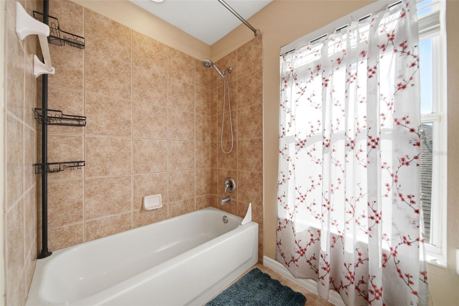 2391 Sabastian St Property Photo 40