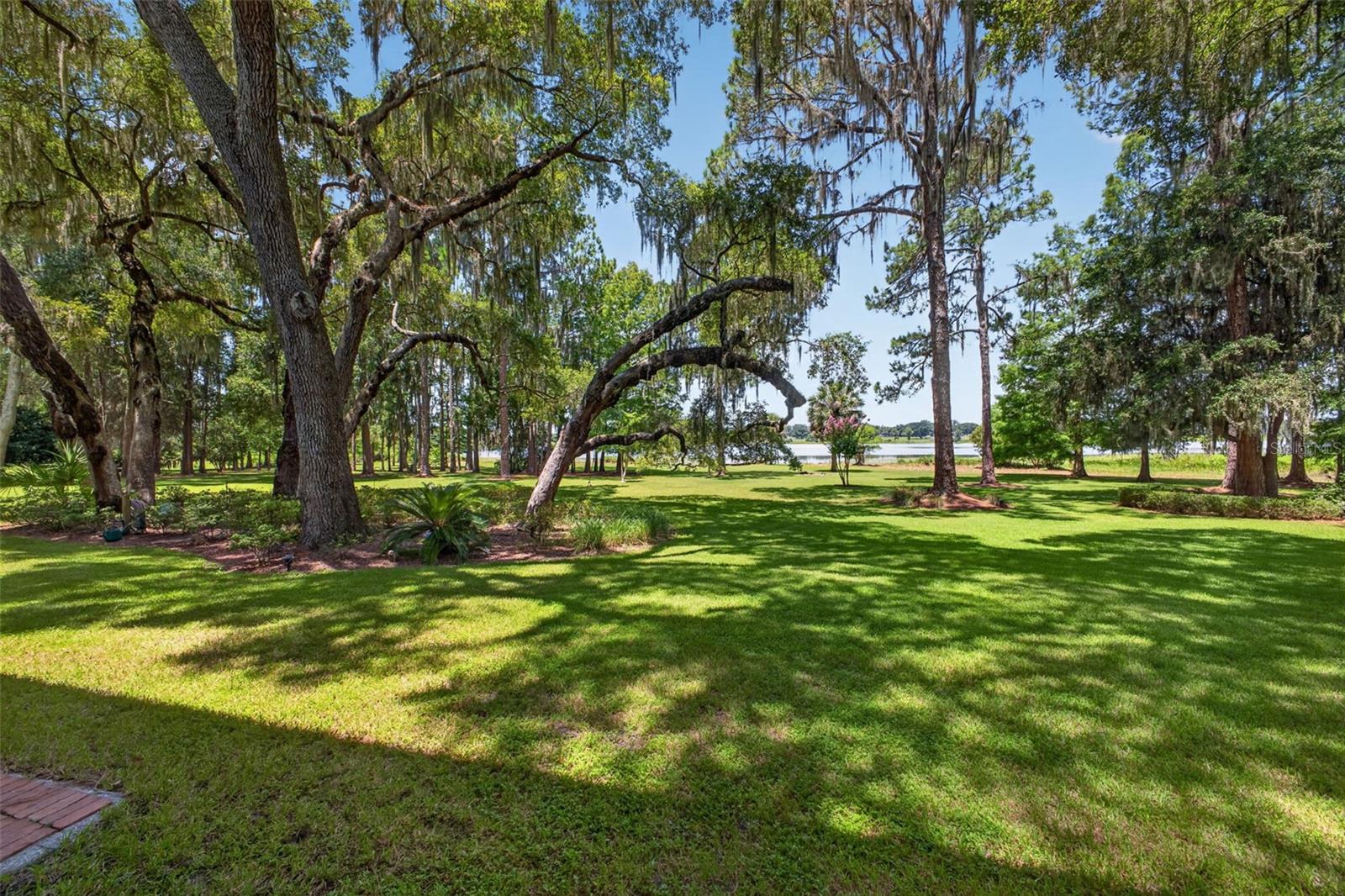39411 County Road 439 Property Photo 16