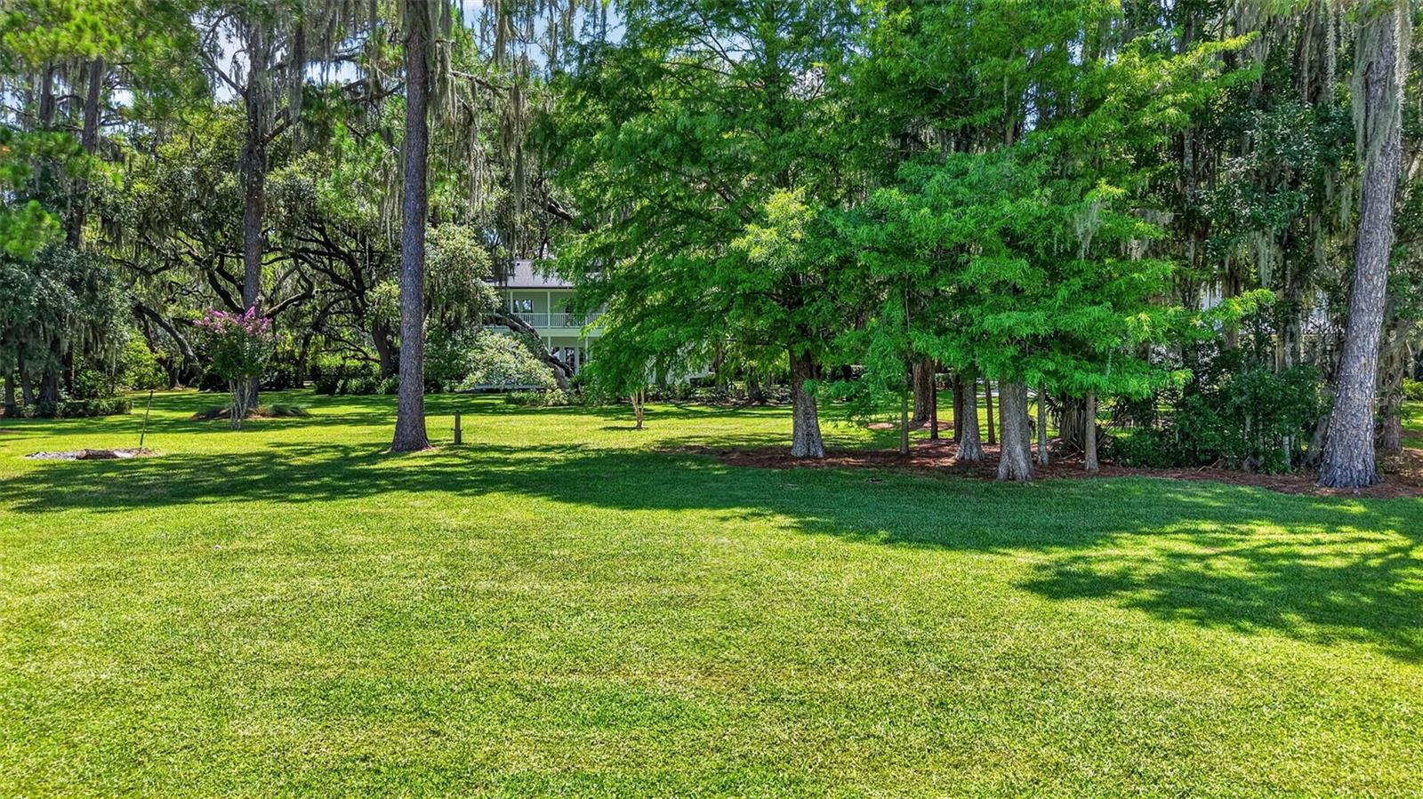 39411 County Road 439 Property Photo 74