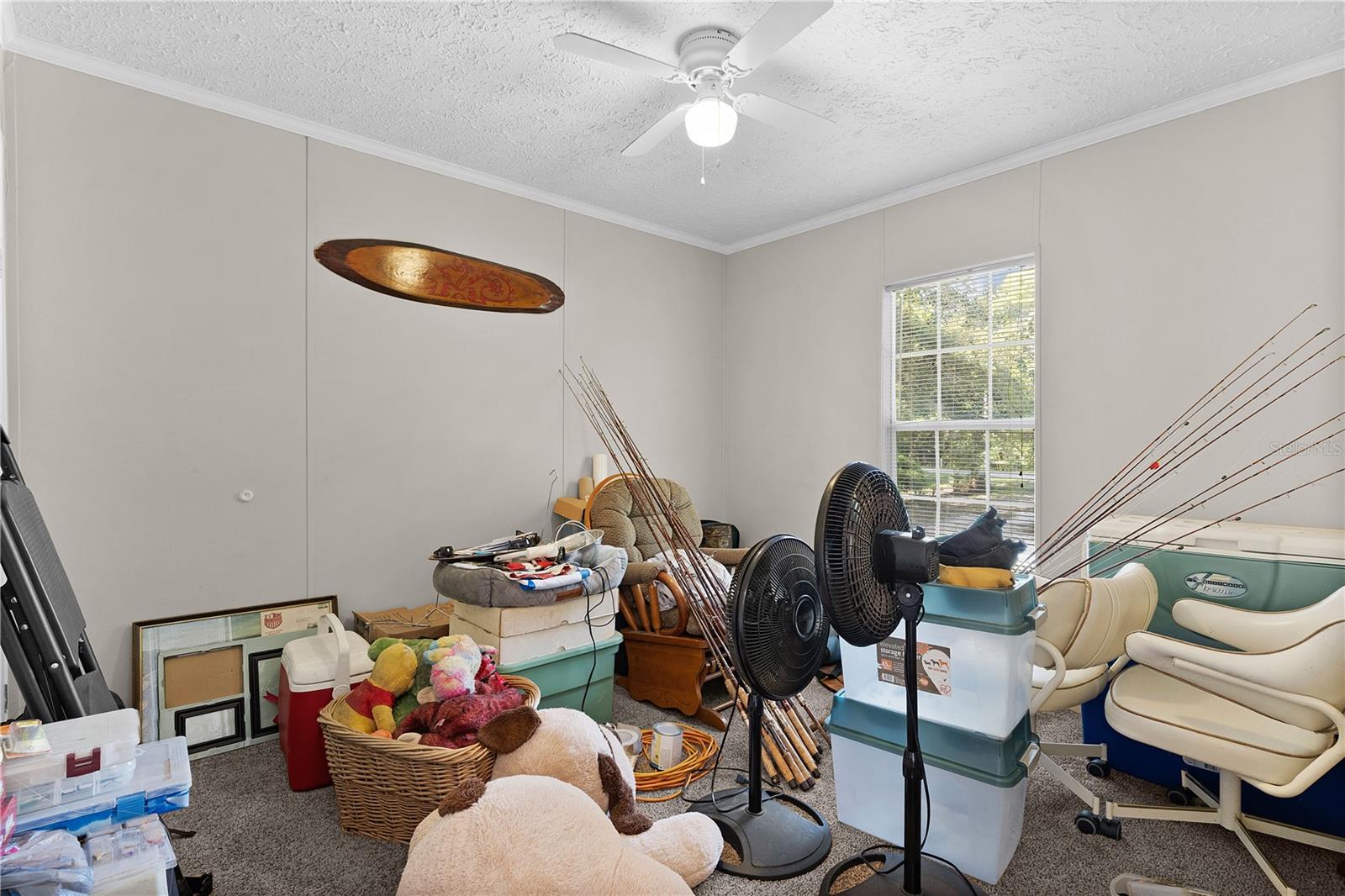 6590 Cr 631 Property Photo 25