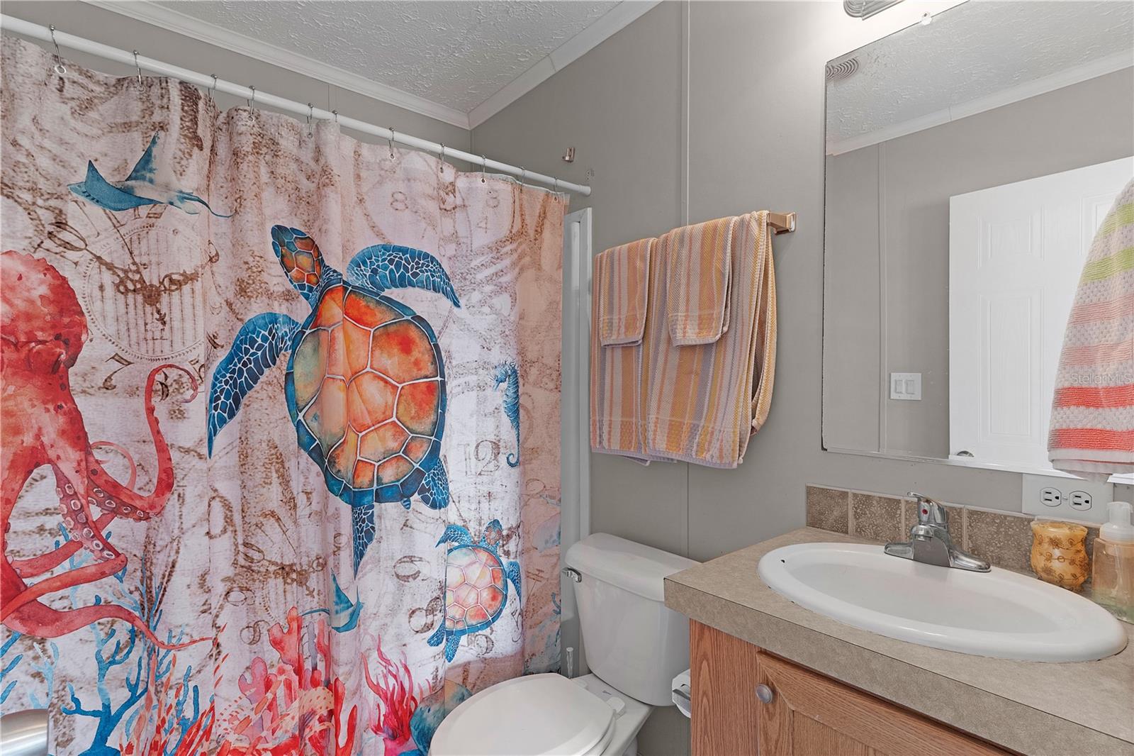 6590 Cr 631 Property Photo 26