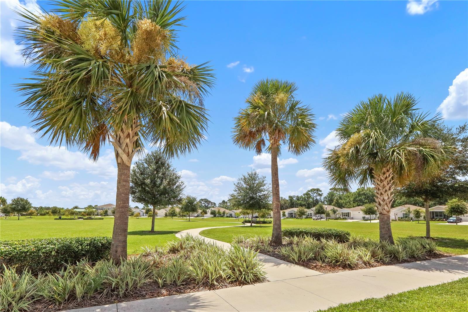 33571 Sky Blossom Cir Property Photo 52