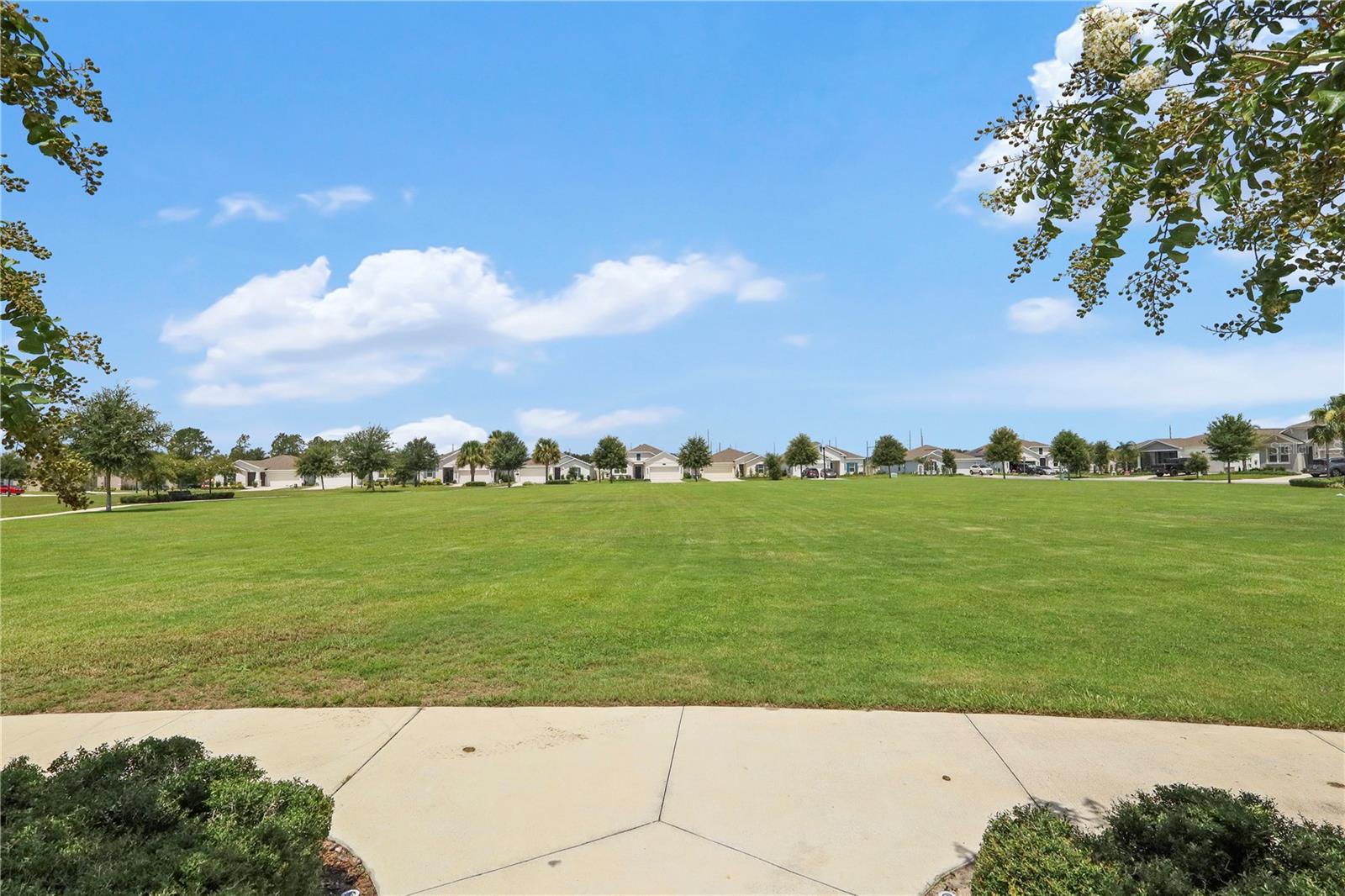 33571 Sky Blossom Cir Property Photo 53