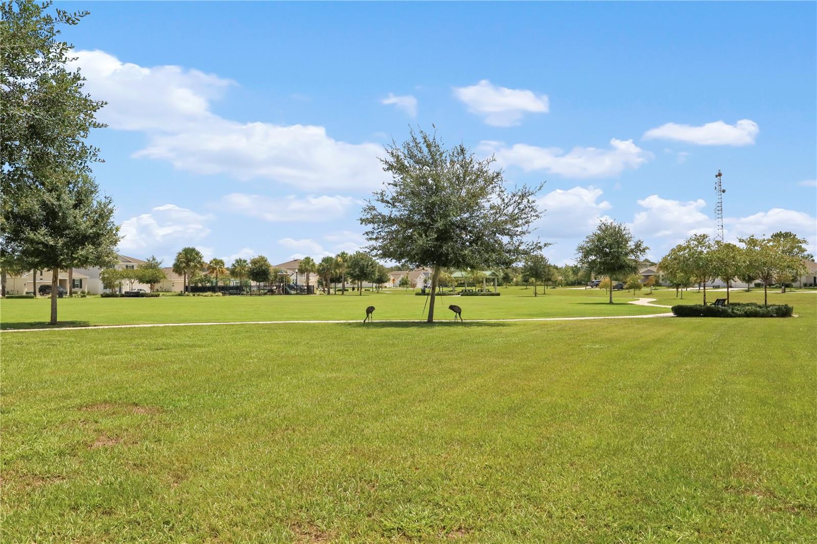 33571 Sky Blossom Cir Property Photo 54
