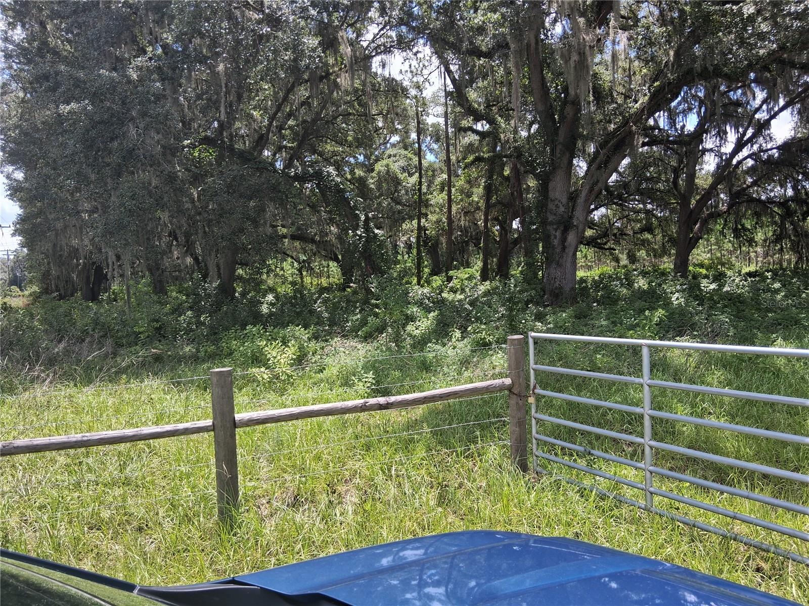 409 County Road 542e Property Photo 2