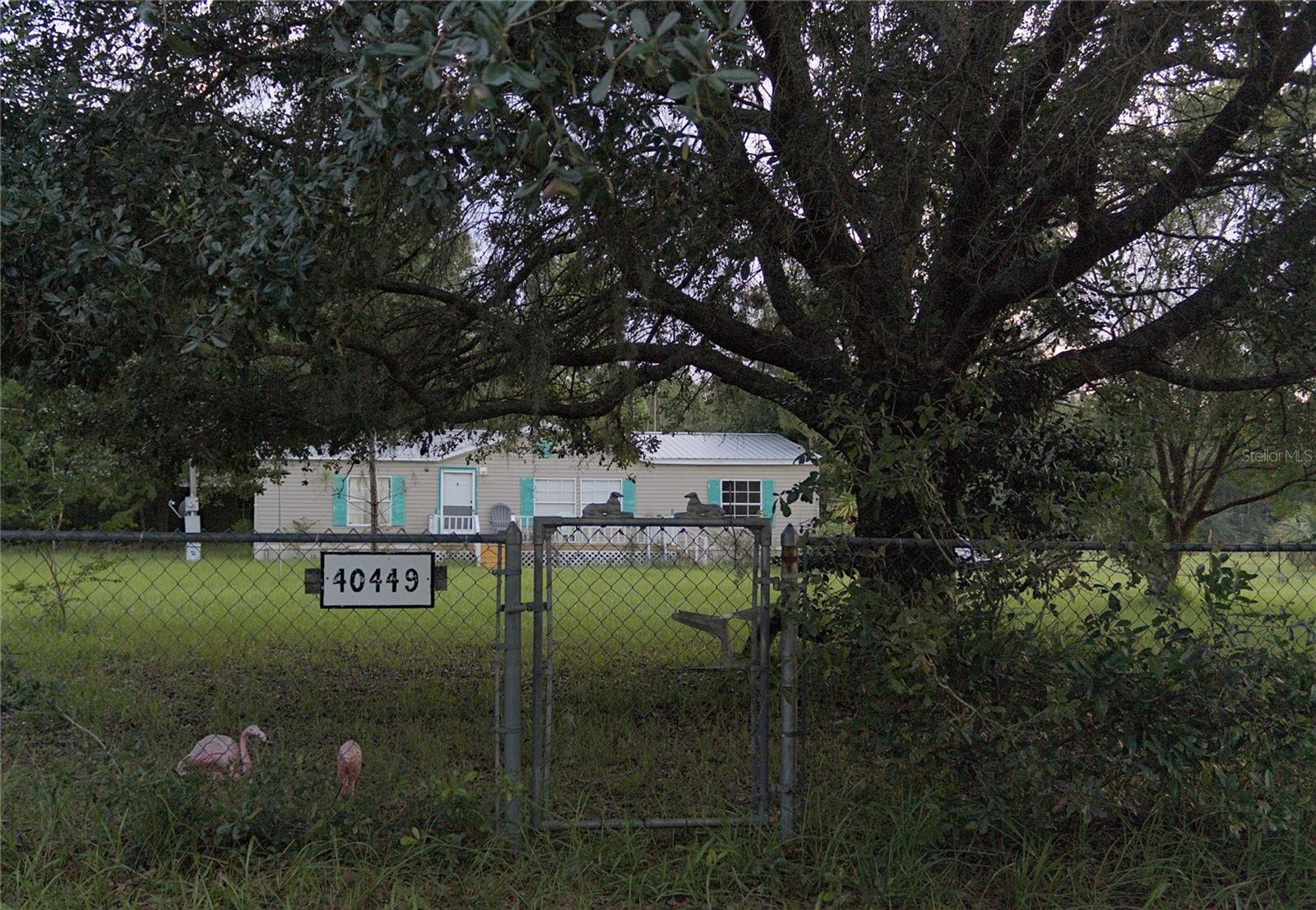 40449 Holly Branch Rd Property Photo 3