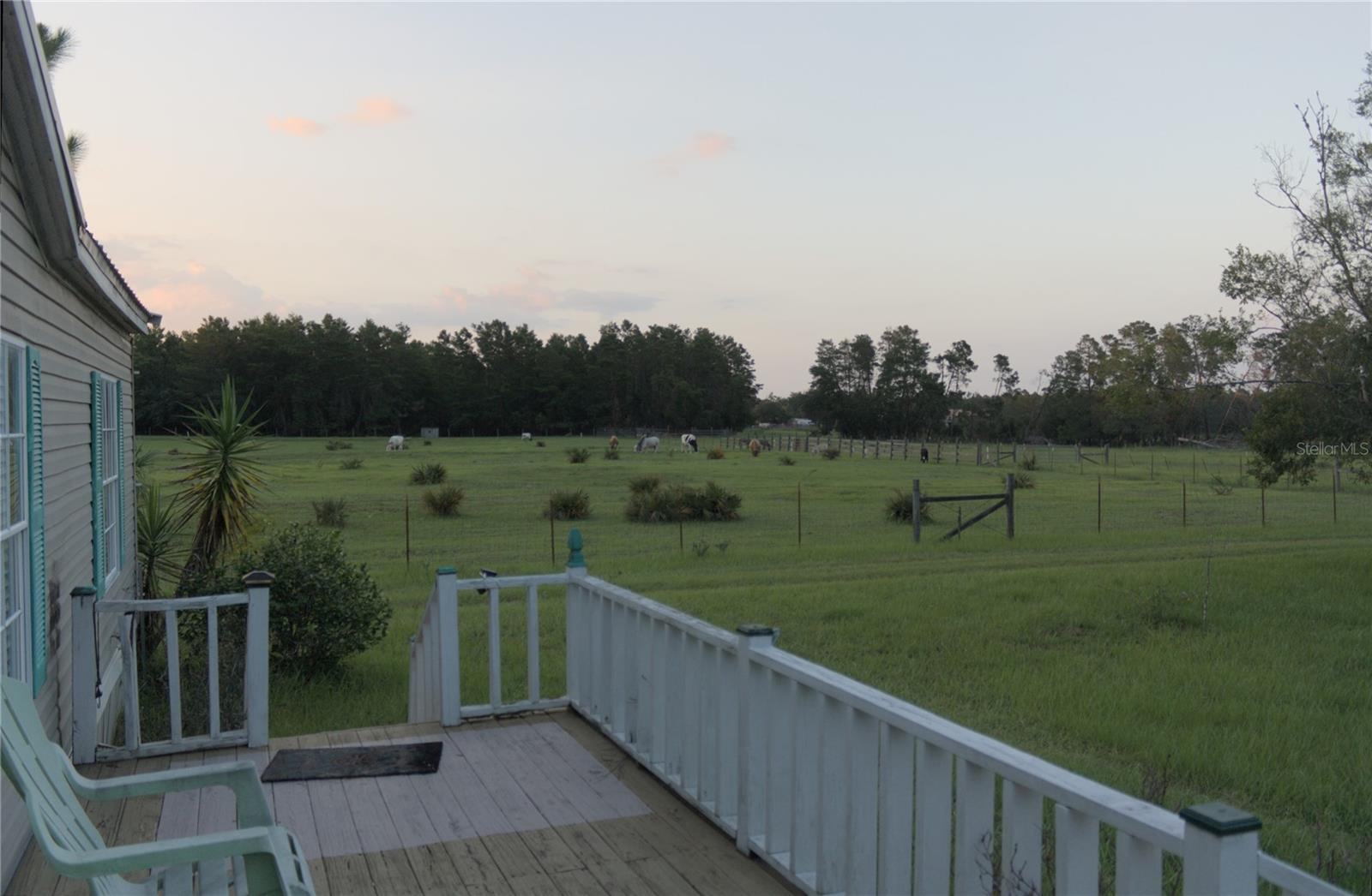 40449 Holly Branch Rd Property Photo 4