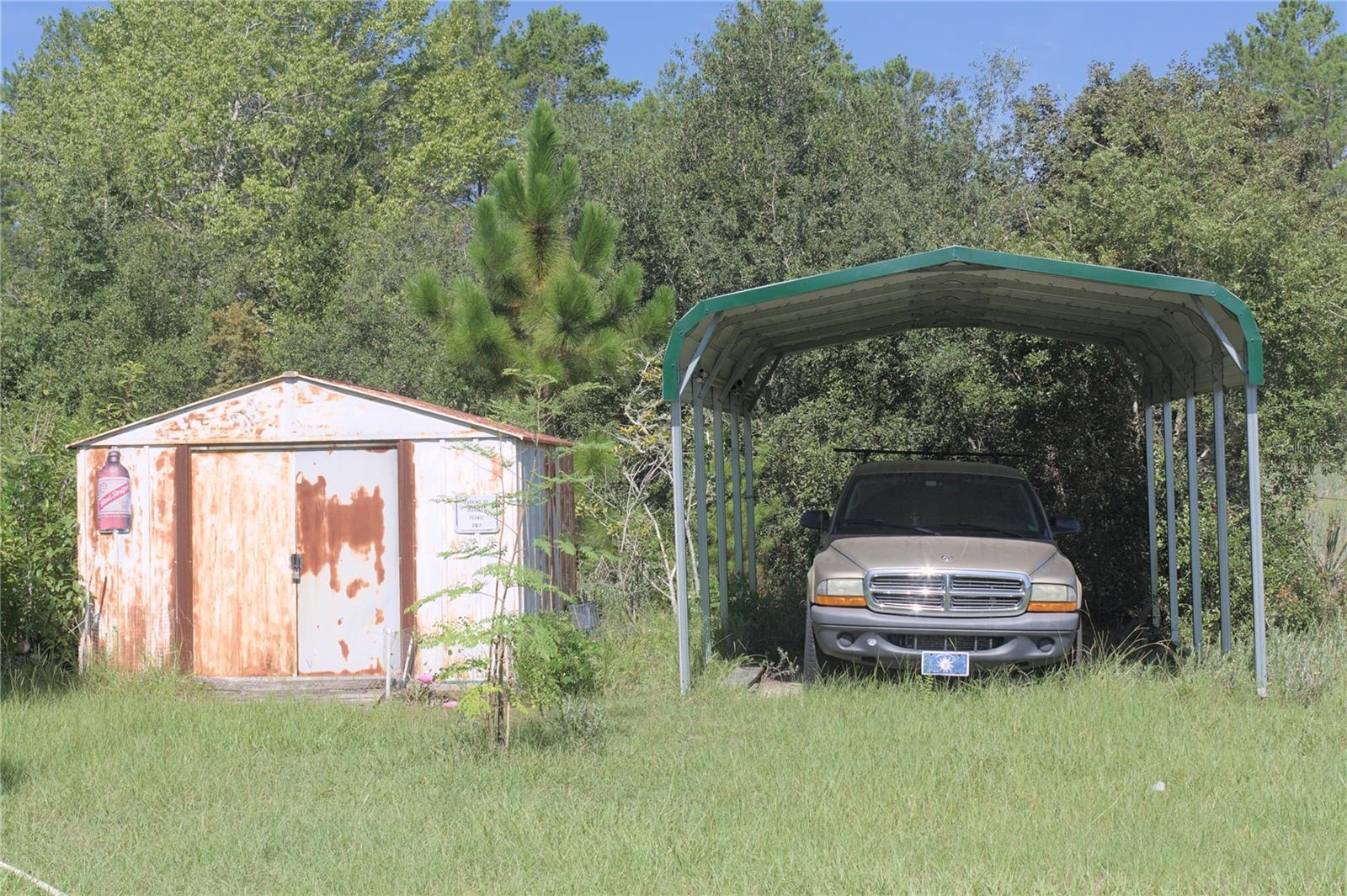 40449 Holly Branch Rd Property Photo 5