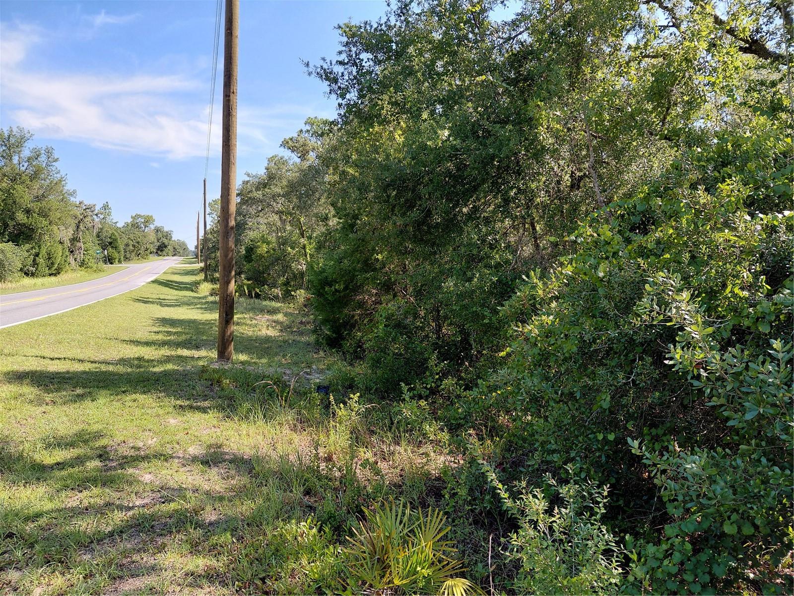 Wheystone Dr Property Photo 1