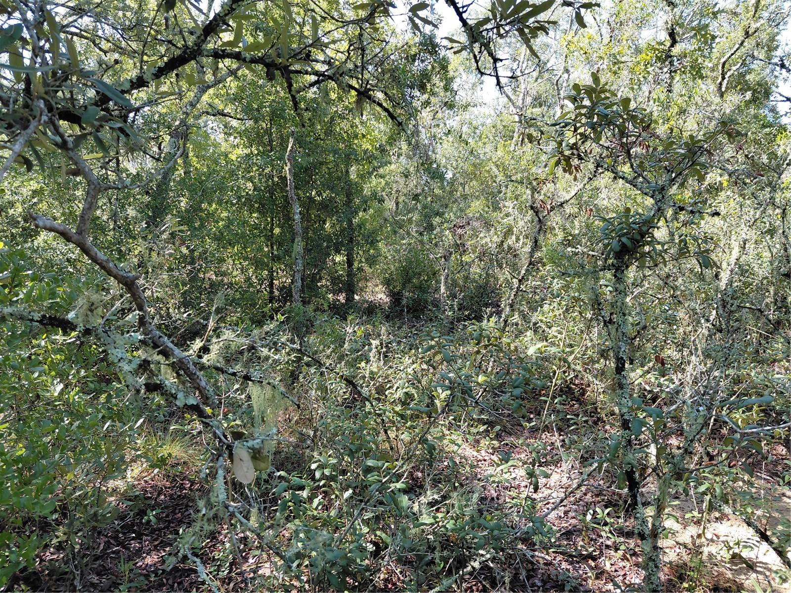 Wheystone Dr Property Photo 7