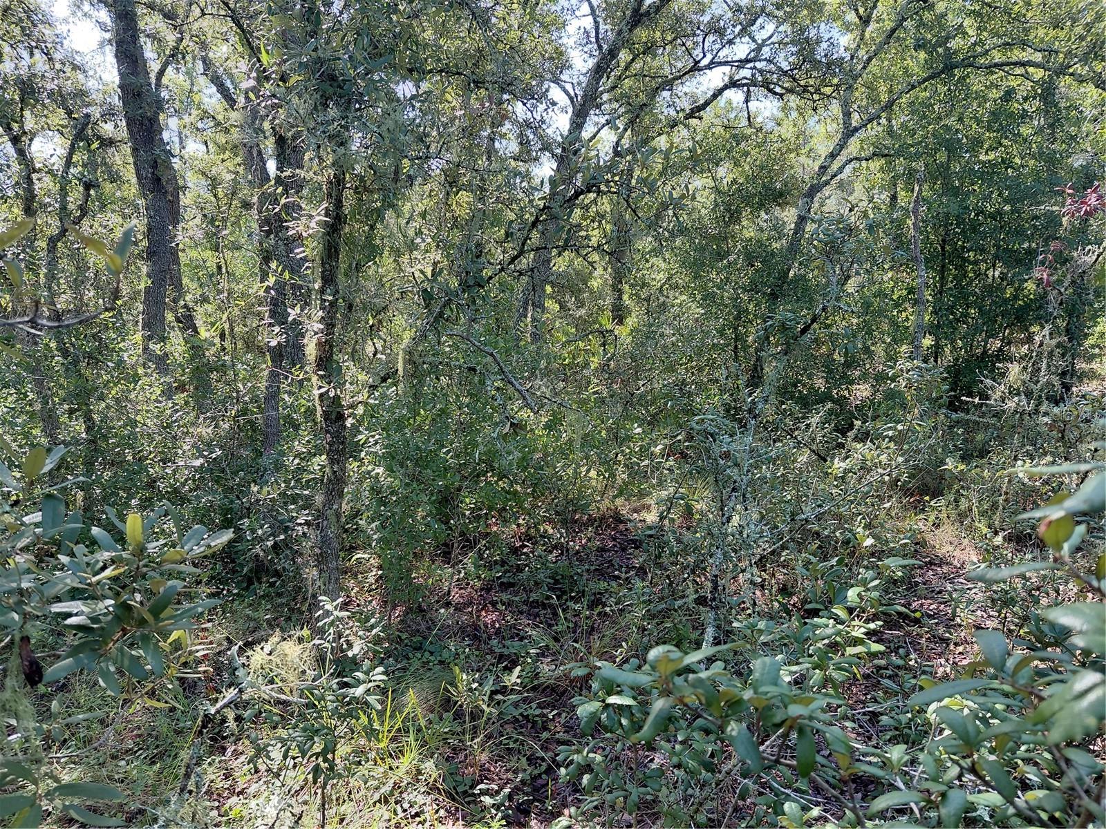 Wheystone Dr Property Photo 16