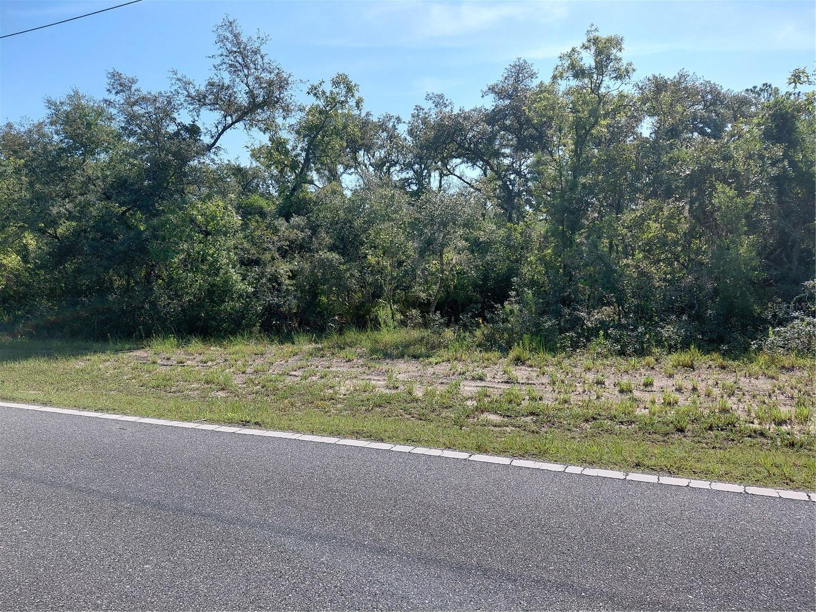 Wheystone Dr Property Photo 17