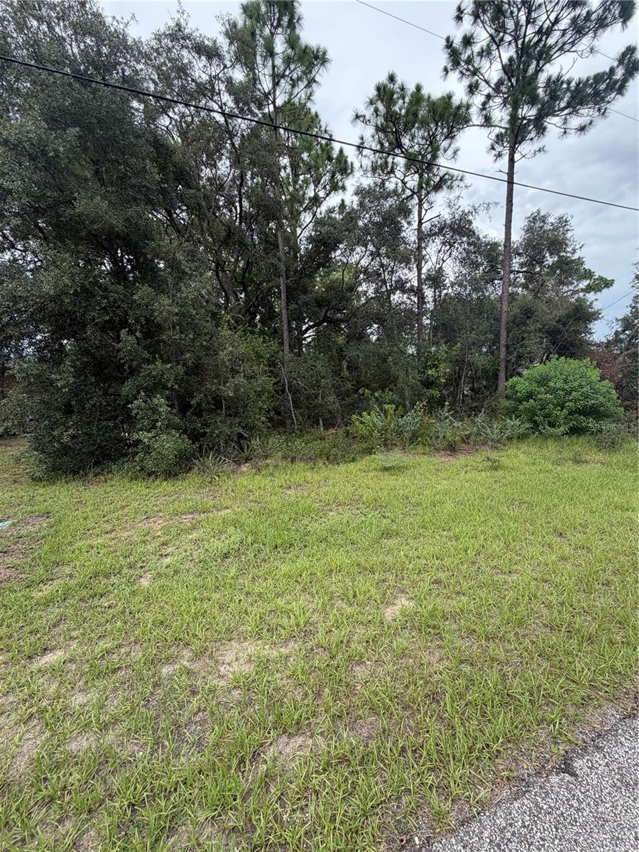 3289 W Viking Ln Property Photo 4