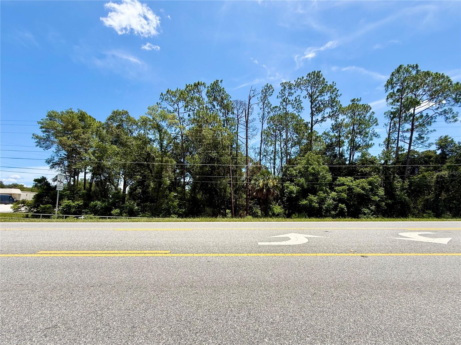 Lot 14 State Road 44 Property Photo 7