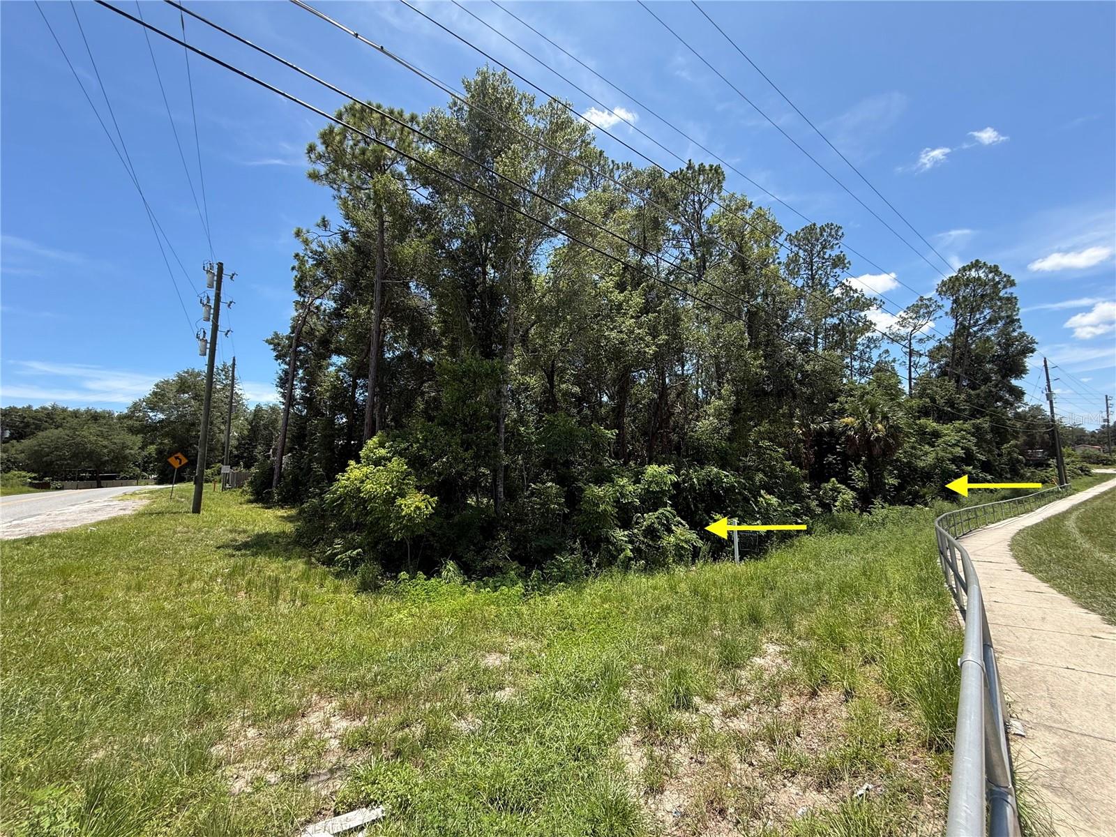 Lot 14 State Road 44 Property Photo 12