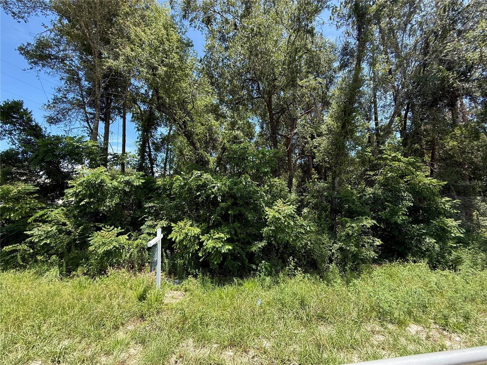 Lot 14 State Road 44 Property Photo 14