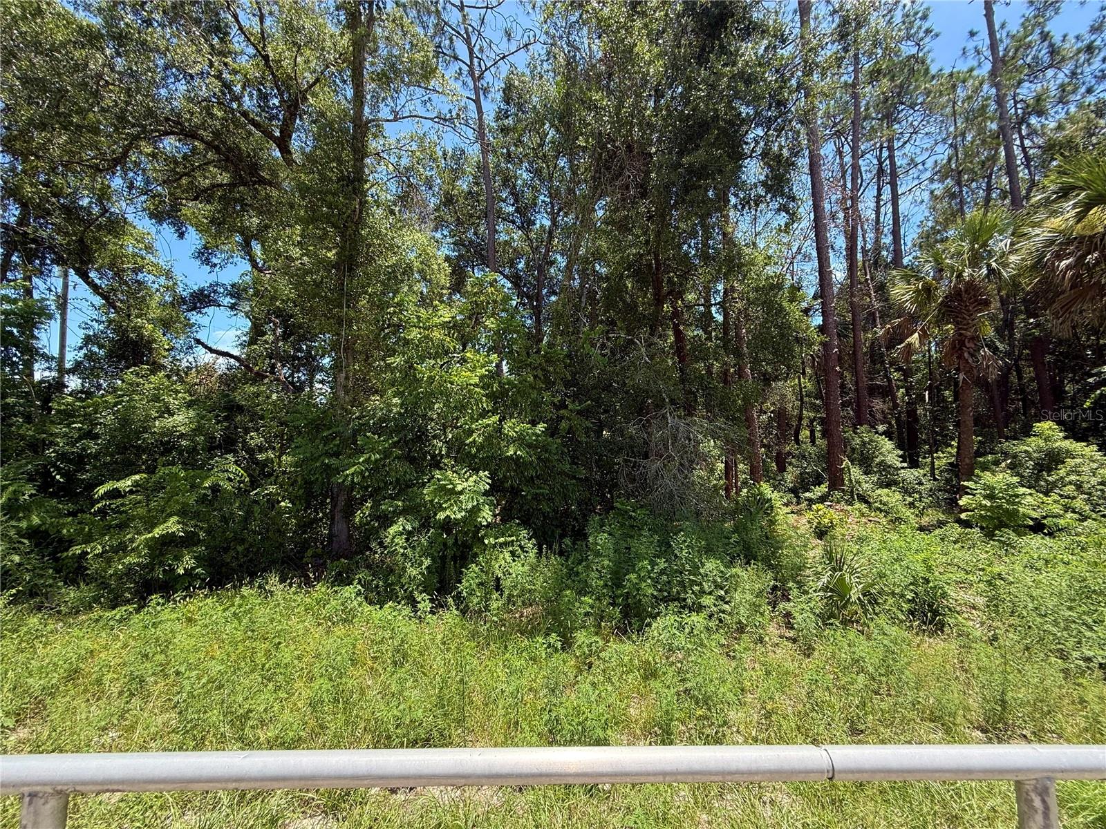 Lot 14 State Road 44 Property Photo 15
