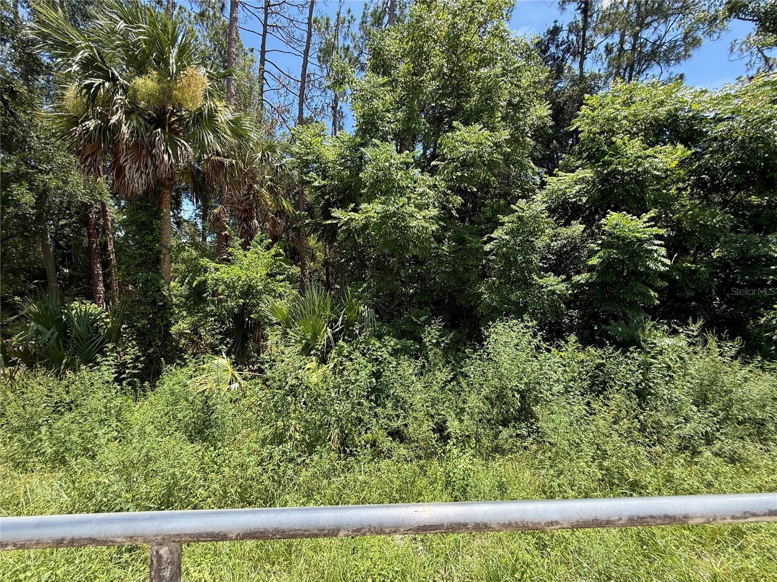 Lot 14 State Road 44 Property Photo 17