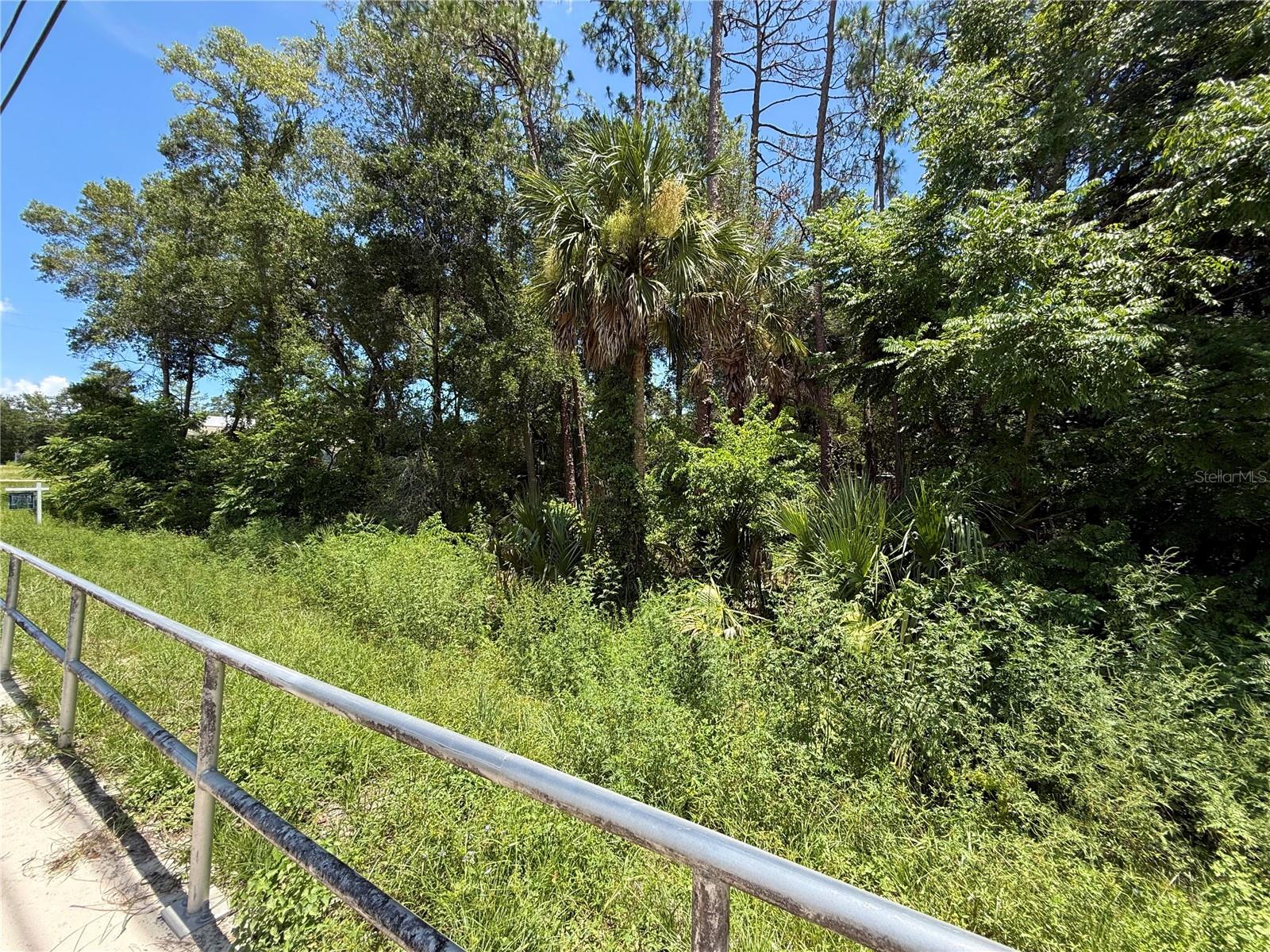 Lot 14 State Road 44 Property Photo 18