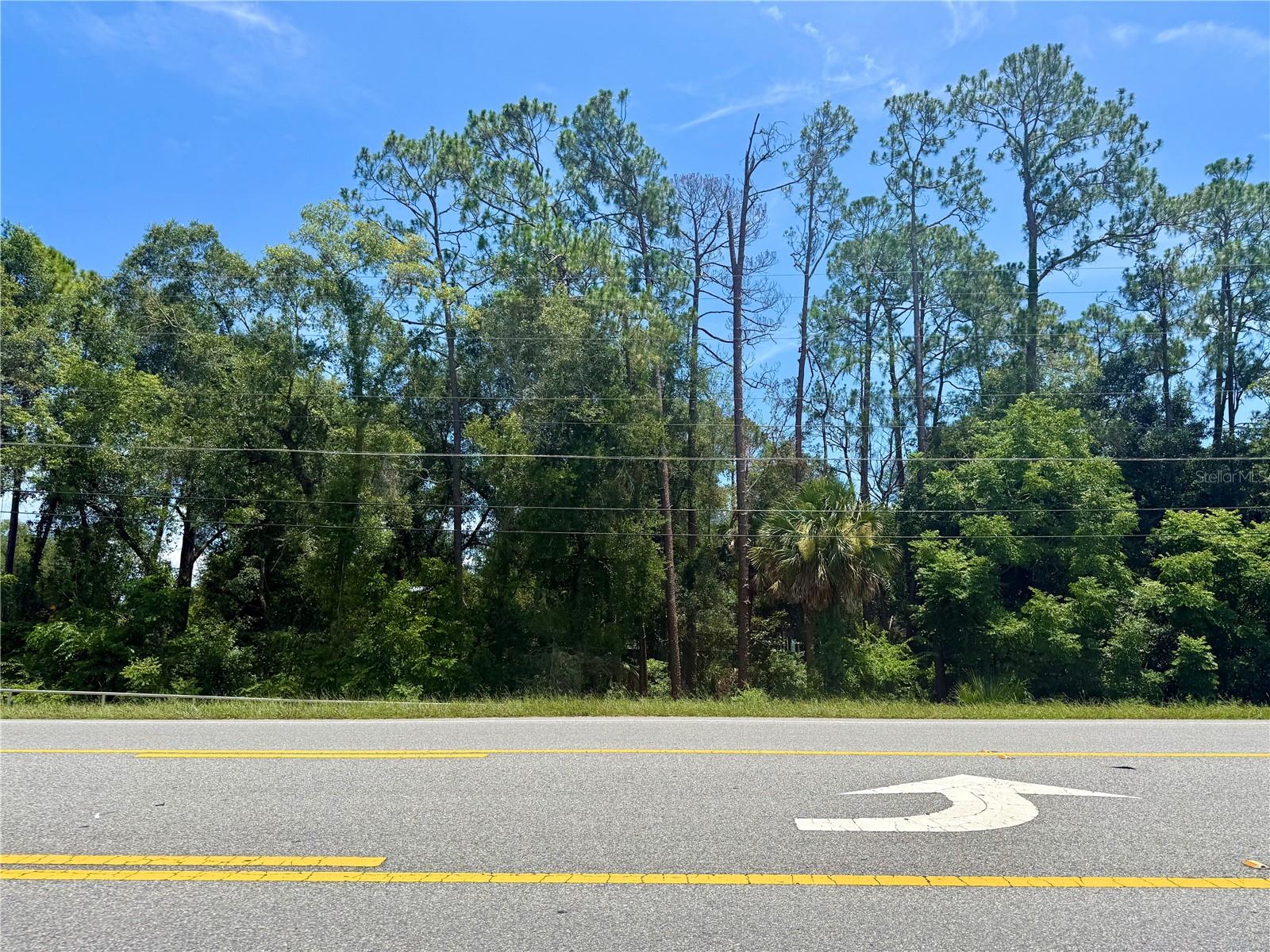 LOT 13 STATE ROAD 44 Property Photo 1