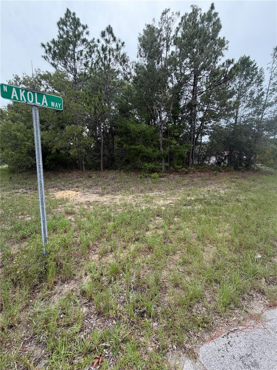 9512 N Akola Way Property Photo 2