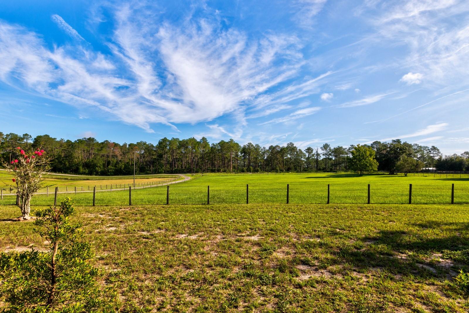 24948 Walkabout Ranch Rd Property Photo 4