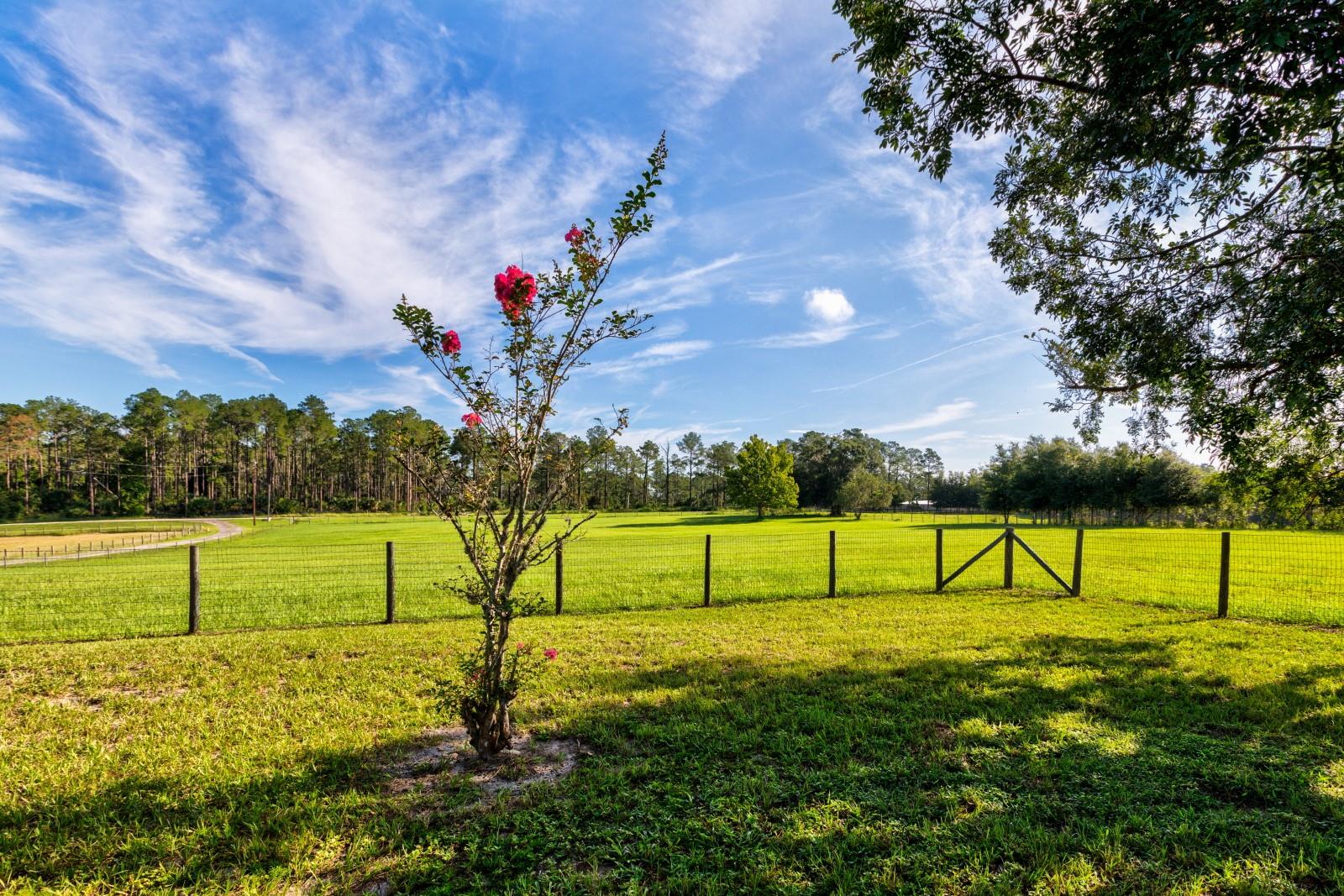 24948 Walkabout Ranch Rd Property Photo 5