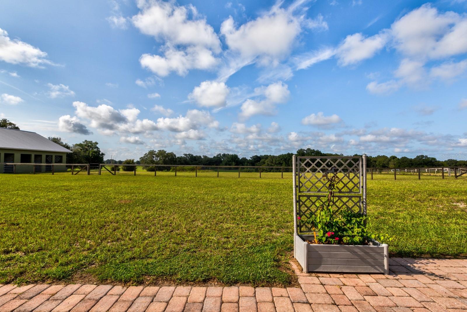 24948 Walkabout Ranch Rd Property Photo 27