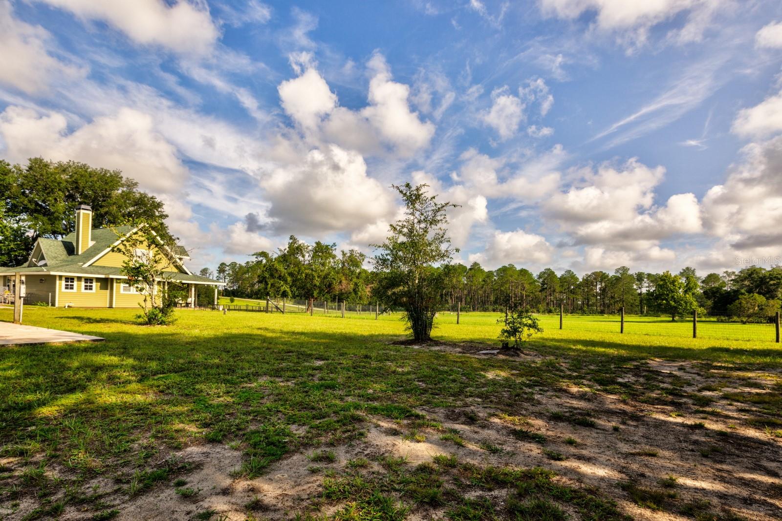 24948 Walkabout Ranch Rd Property Photo 33
