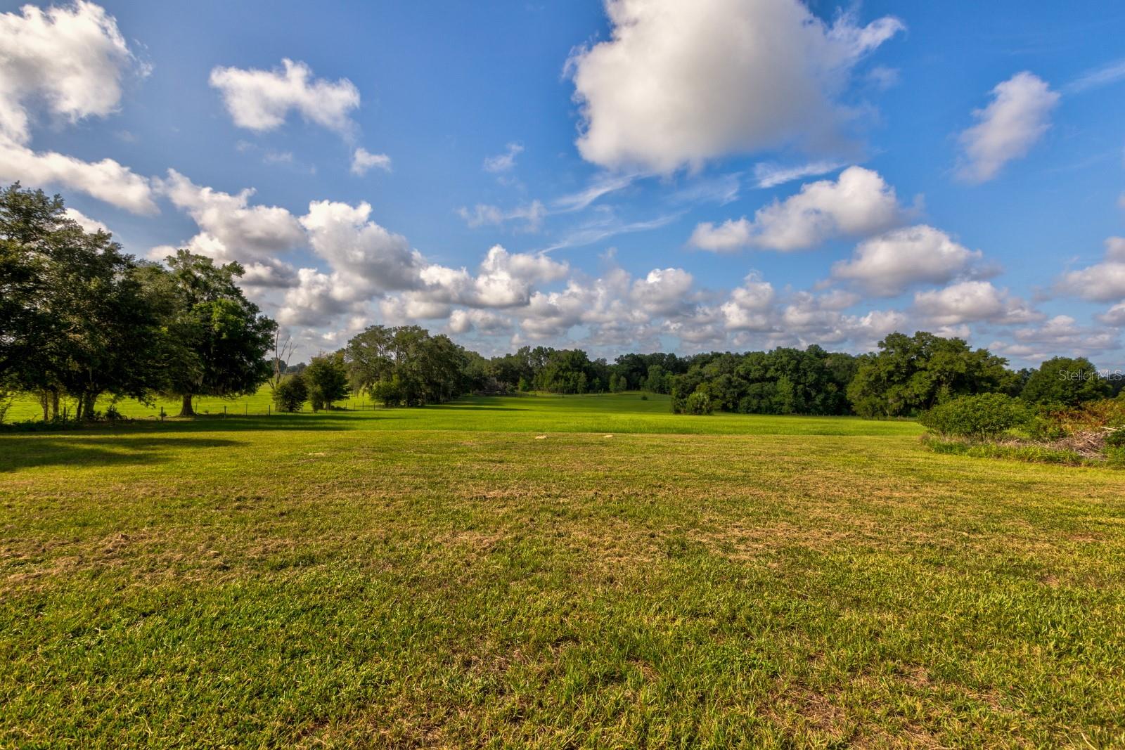 24948 Walkabout Ranch Rd Property Photo 46