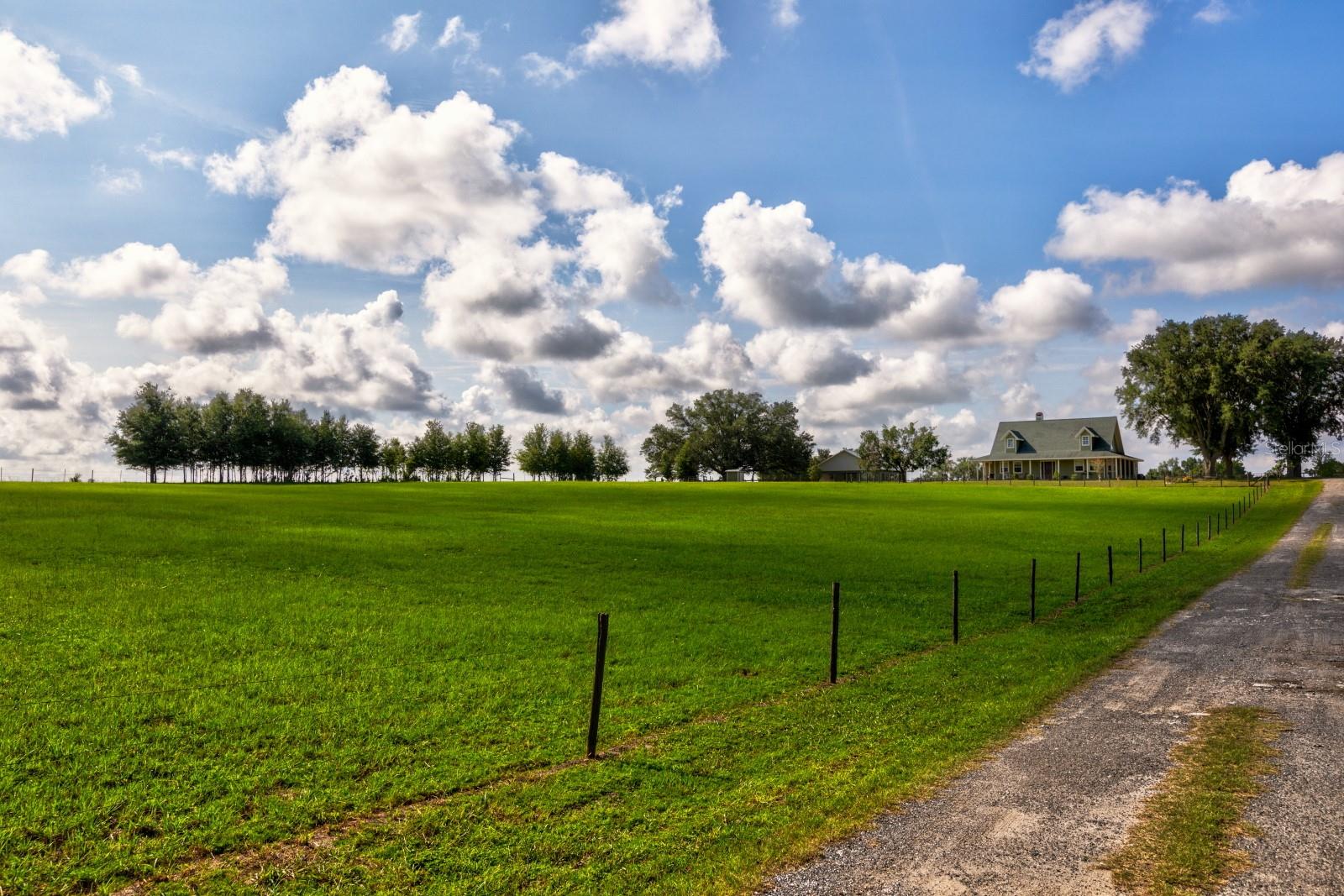 24948 Walkabout Ranch Rd Property Photo 50