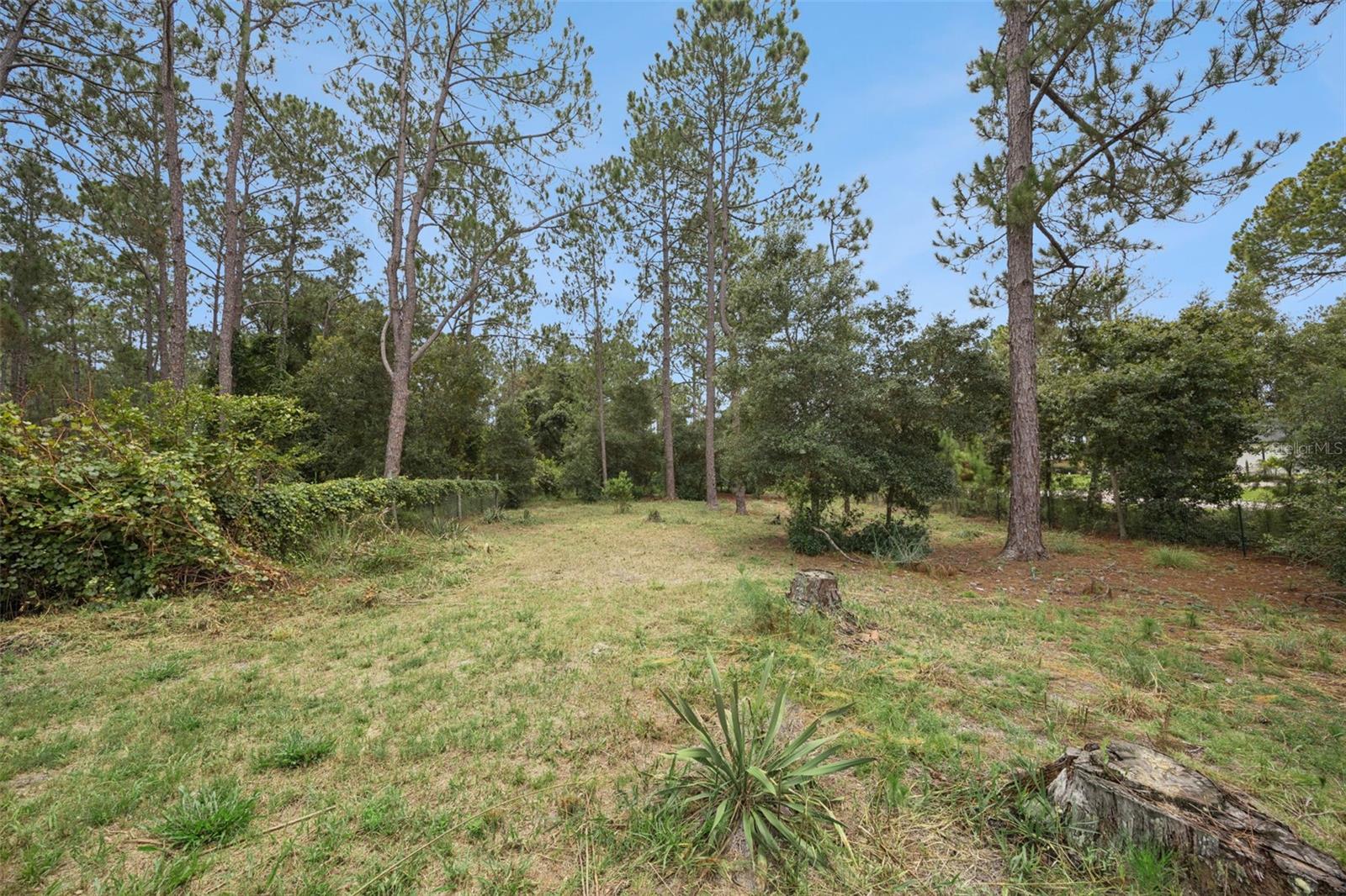41220 Alder Way Property Photo 44