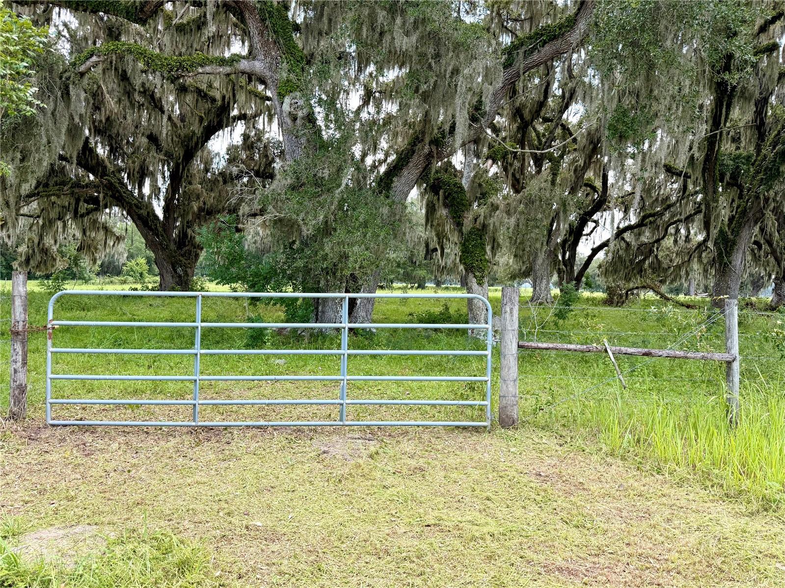 E C-478 Property Photo 4