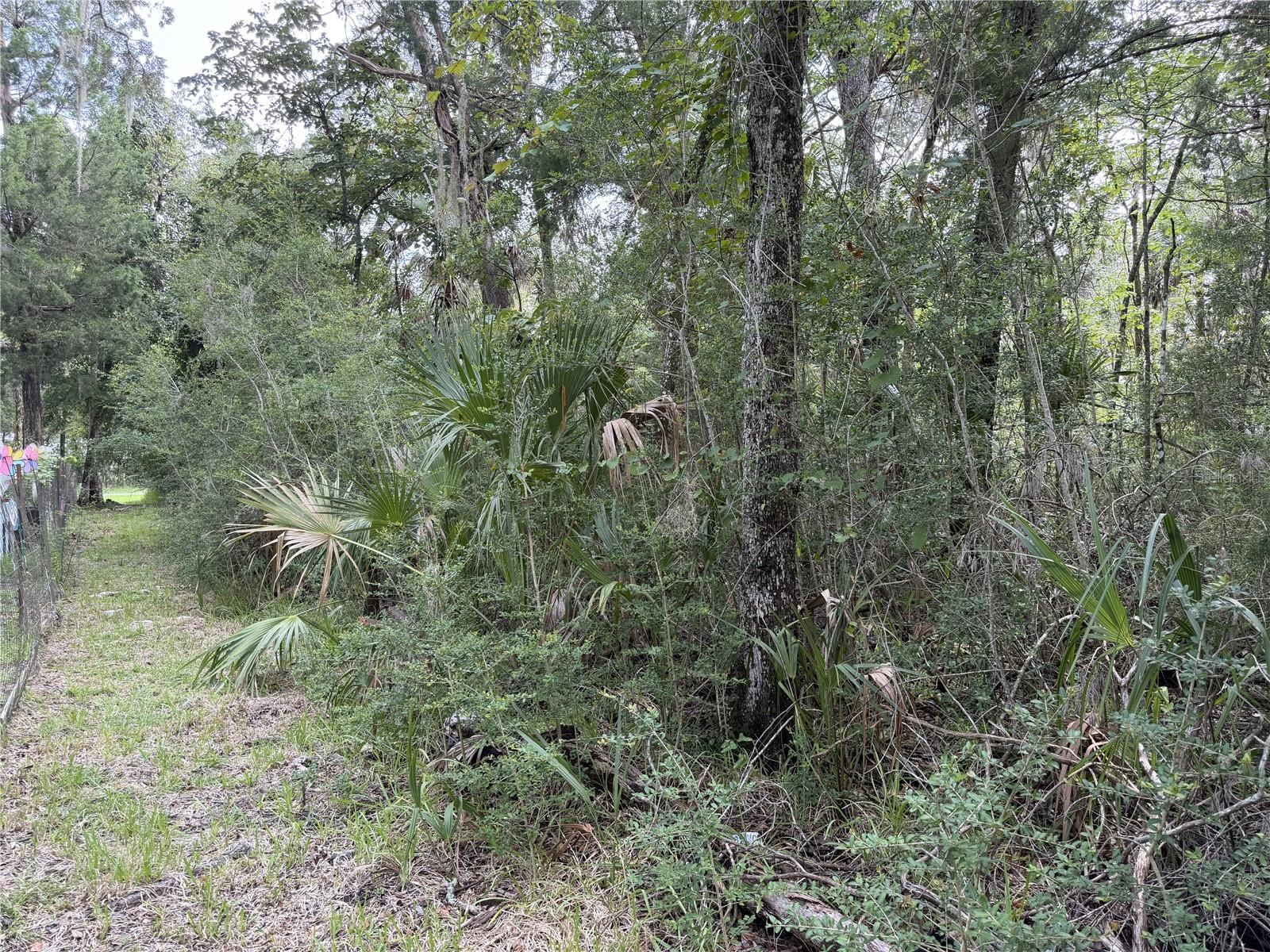 10991 W London Ln Property Photo 6
