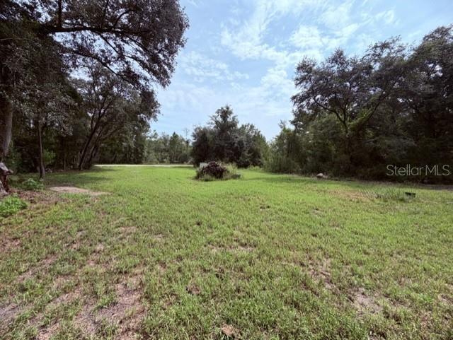 35356 Kramer St Property Photo 1