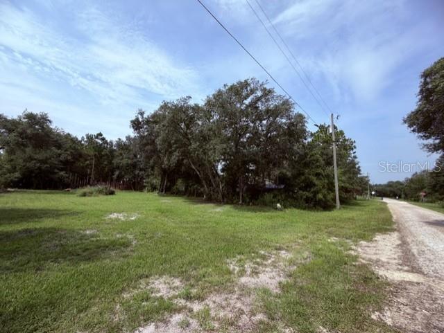 35356 Kramer St Property Photo 7