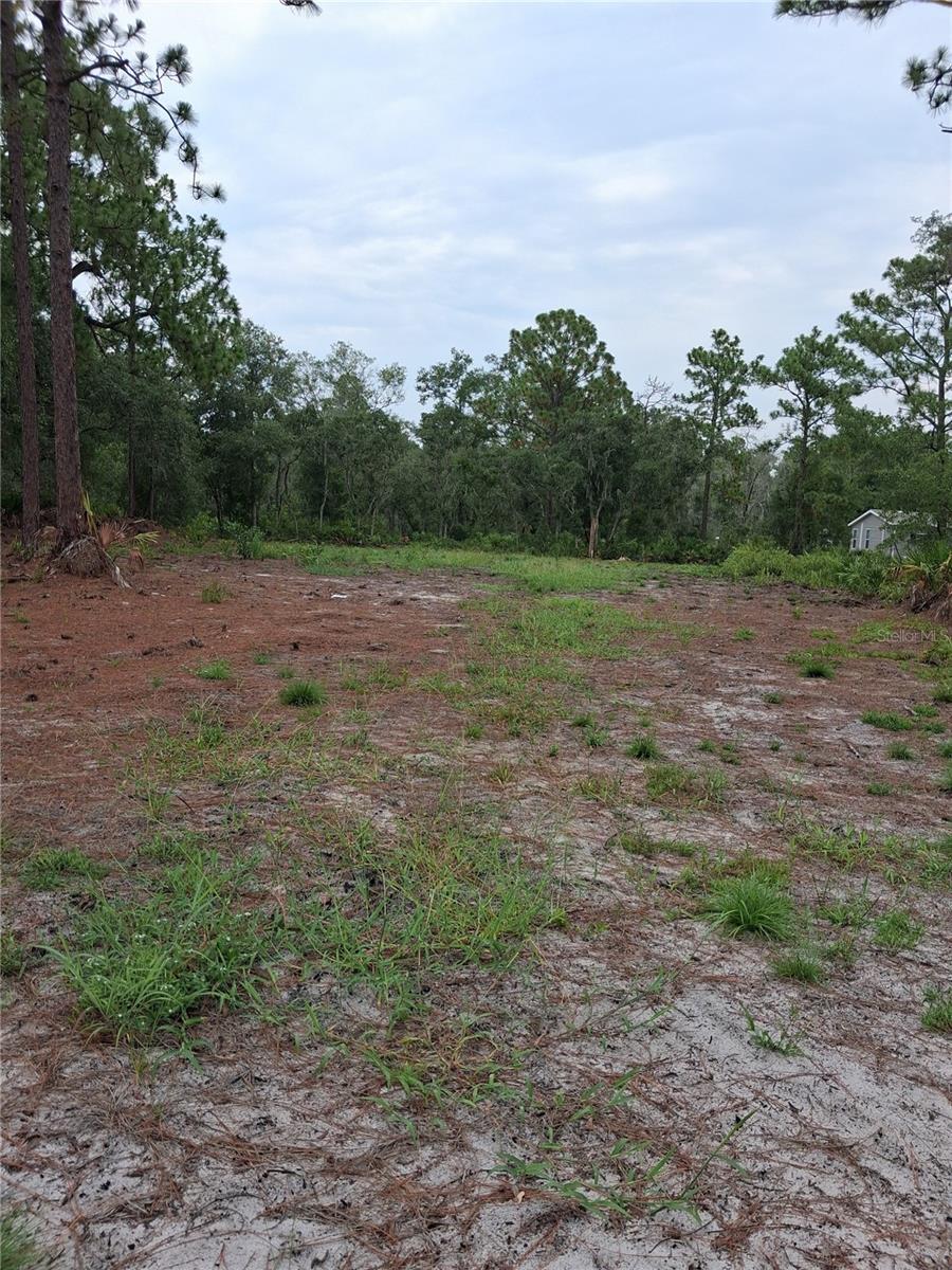 Park Forest Blvd Property Photo 2