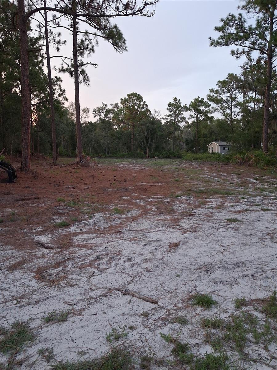 Park Forest Blvd Property Photo 4