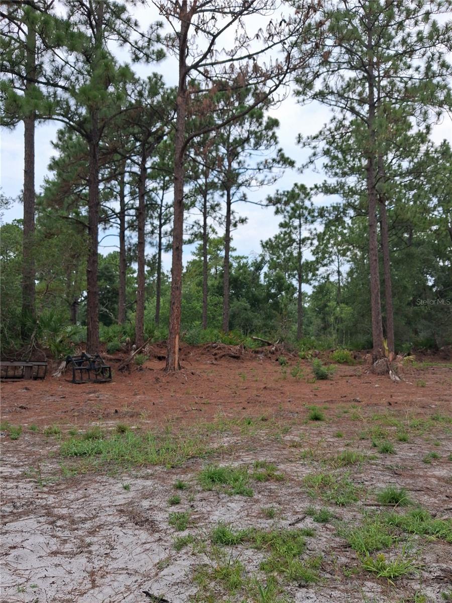 Park Forest Blvd Property Photo 5