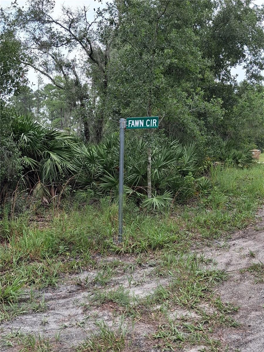 Park Forest Blvd Property Photo 6