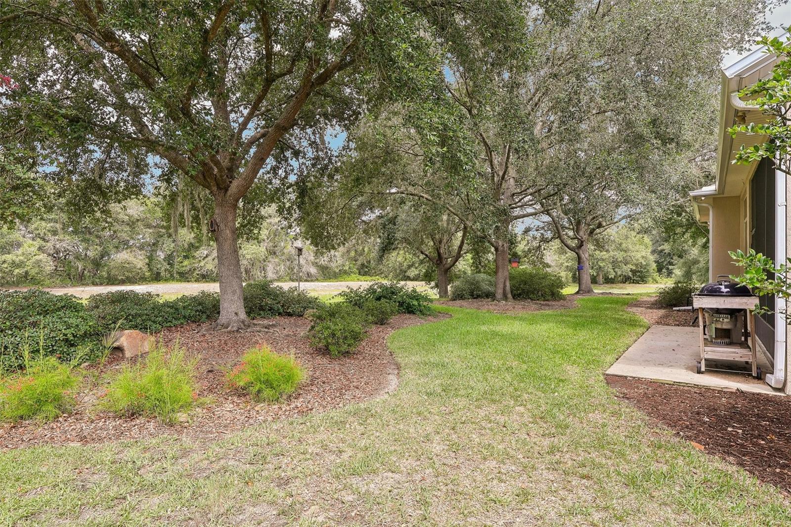 20554 Queen Alexandra Dr Property Photo 37