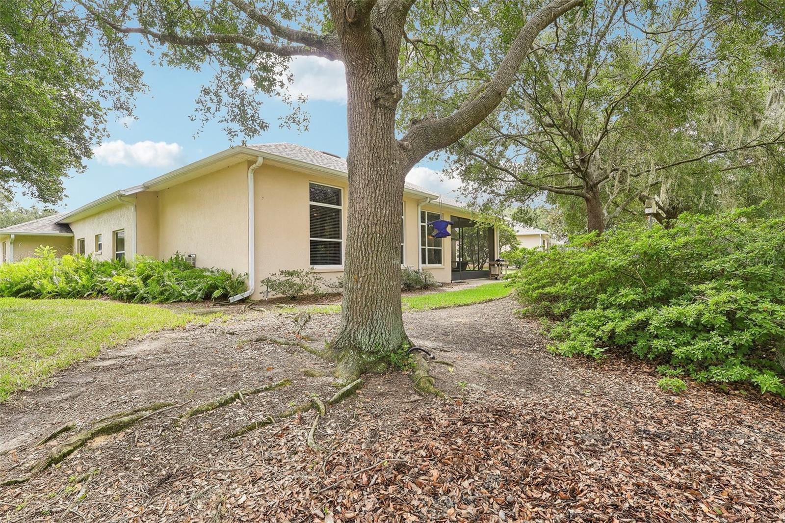20554 Queen Alexandra Dr Property Photo 39