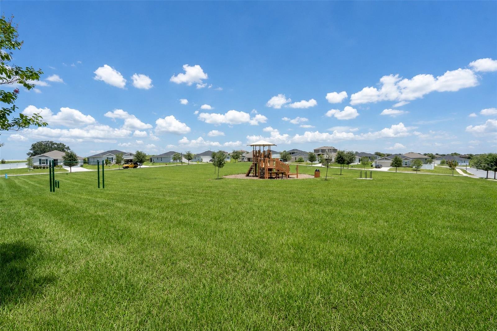 3349 Pink Oleander Ave Property Photo 32