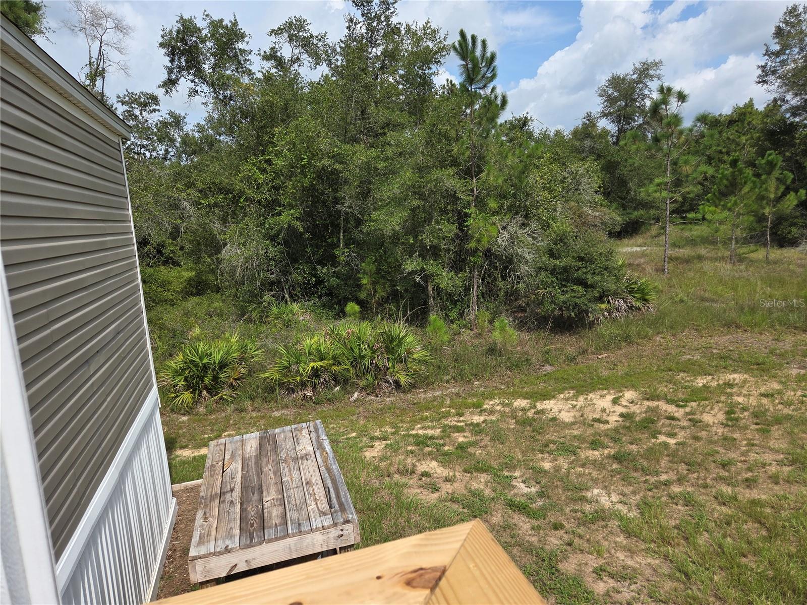 9448 Rousseau St Property Photo 25