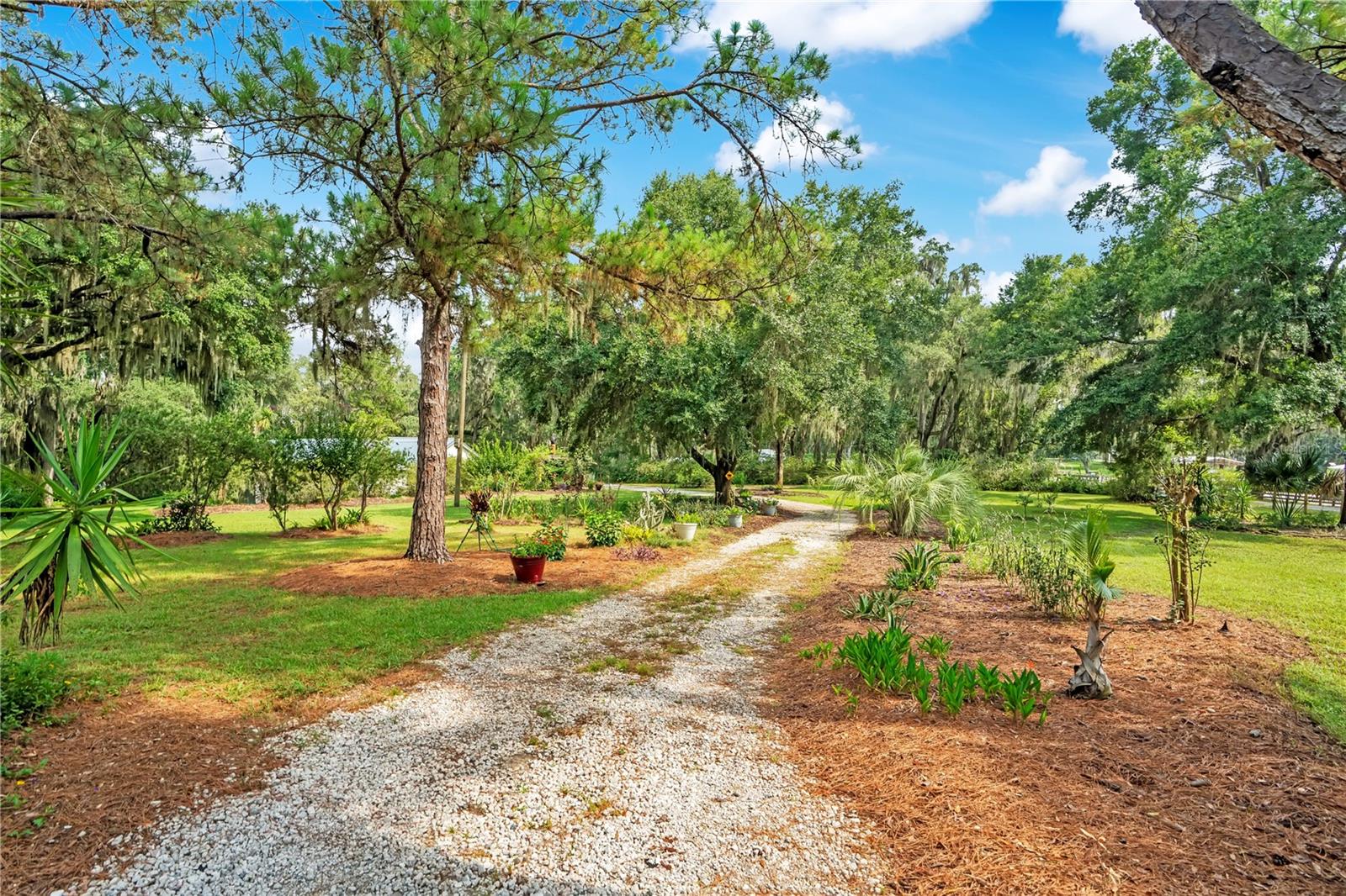 41832 Carrie Ln Property Photo 5