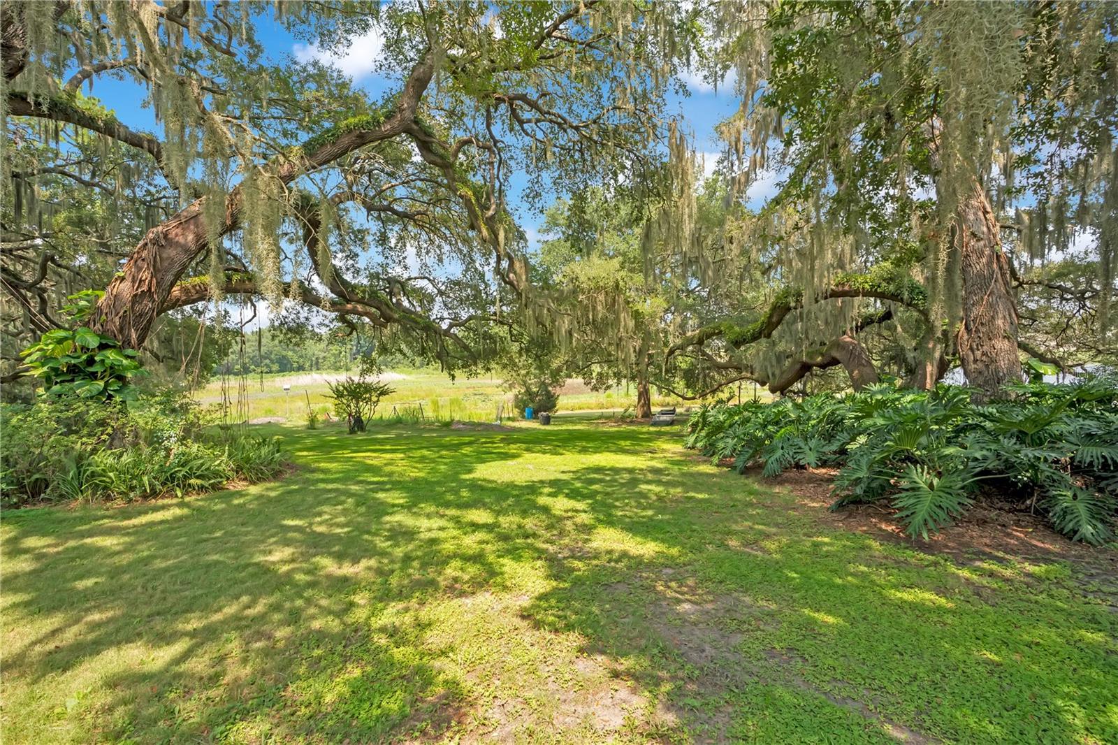 41832 Carrie Ln Property Photo 42