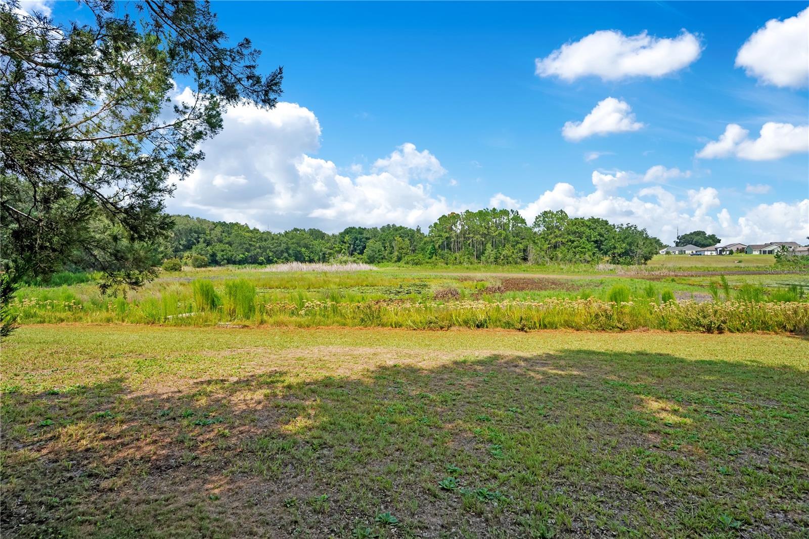 41832 Carrie Ln Property Photo 45