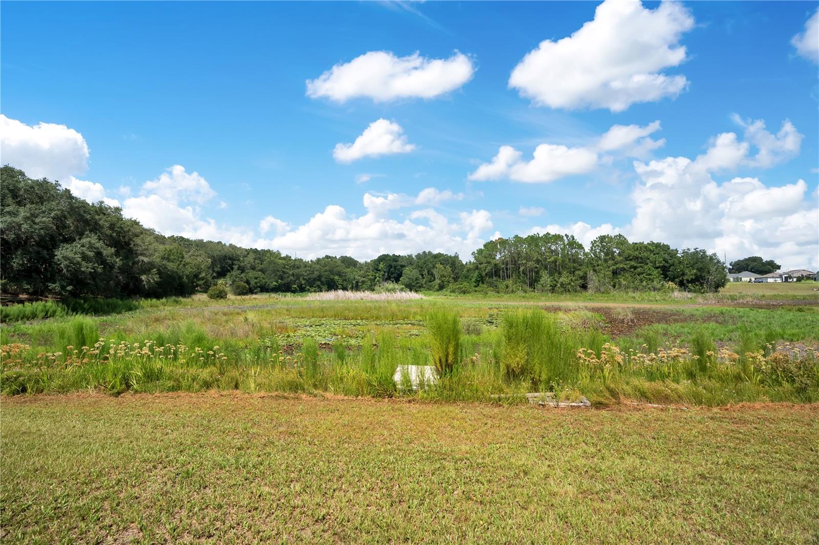 41832 Carrie Ln Property Photo 46