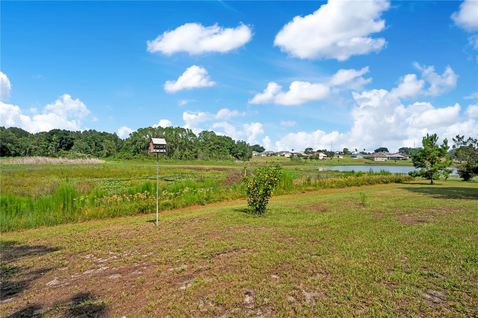 41832 Carrie Ln Property Photo 48