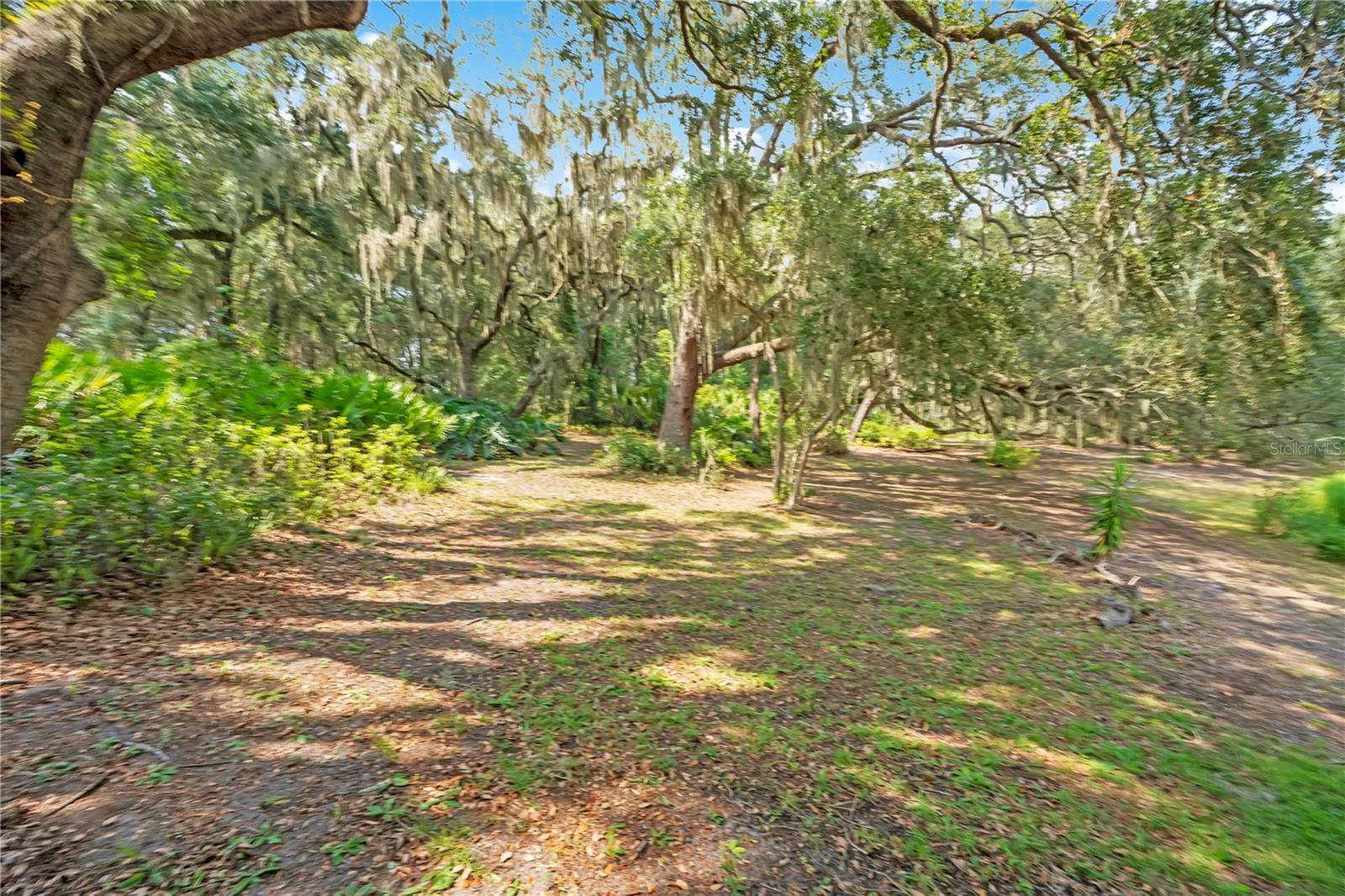 41832 Carrie Ln Property Photo 50